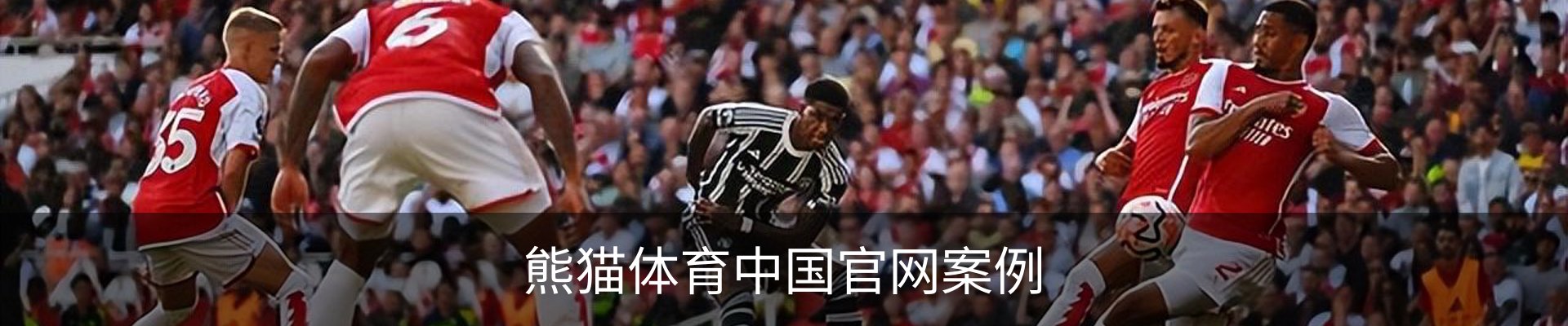 熊猫体育中国官网案例